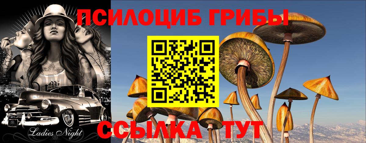 Галлюциногенные грибы прущие грибы  Вход с VPN  Галлюциногенные грибы Psilocybe  Ухта 