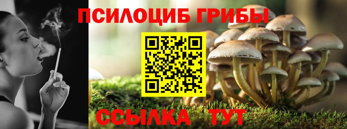 Псилоцибиновые грибы Magic Shrooms Ухта